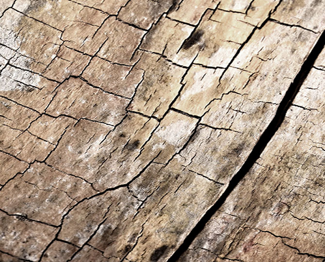 Land Dark Loop натуральная текстура (древесина) Коммерческий ковровый кирпич