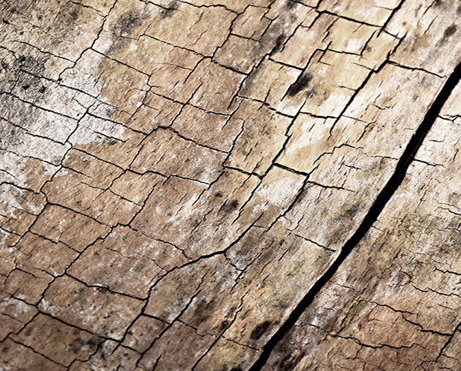 LANDS светло - серый кольцевой естественный текстиль (древесина) Коммерческий ковровый кирпич