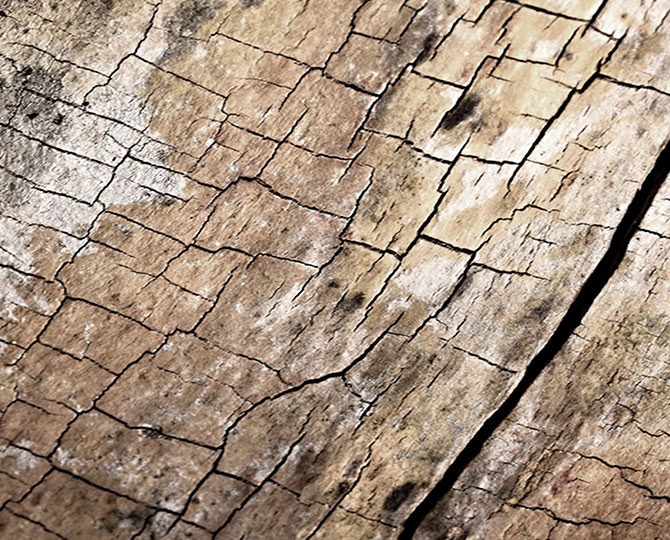 LANDS Blue Loop натуральная текстура (древесина) Коммерческий ковровый кирпич
