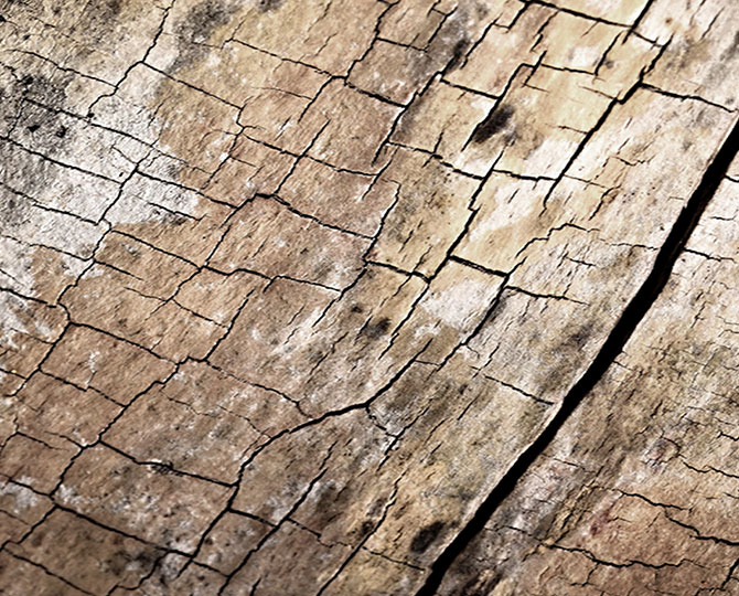 LANDS Brown Loop натуральная текстура (древесина) Коммерческий ковровый кирпич